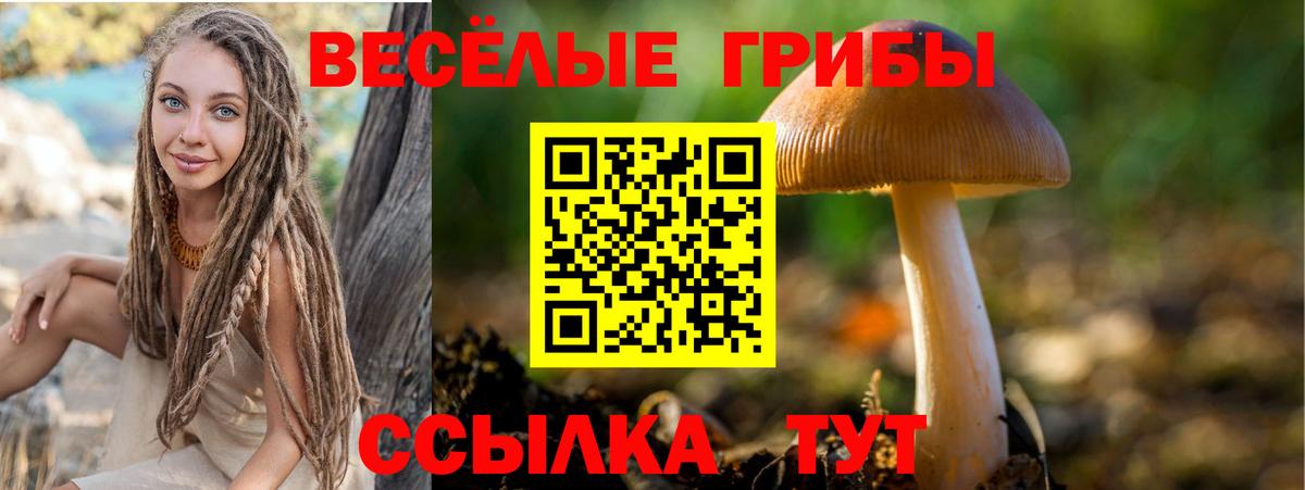 Псилоцибиновые грибы Cubensis Новотроицк